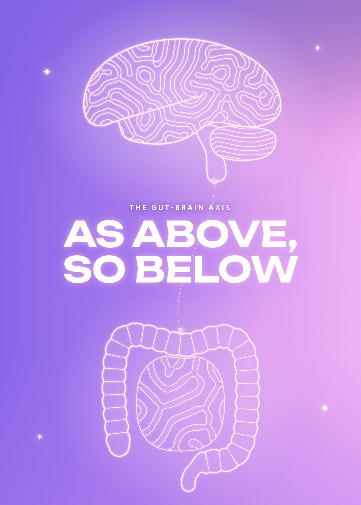 It Girl Gut Glow Up | Gut Health & Detox Supplement